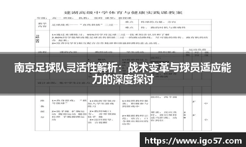 南京足球队灵活性解析：战术变革与球员适应能力的深度探讨