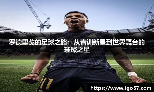 伟德bv国际体育