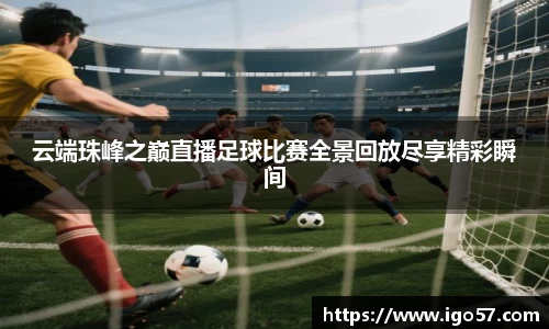 伟德bv国际
